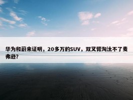 华为和蔚来证明，20多万的SUV，双叉臂淘汰不了麦弗逊？