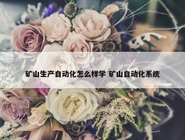 矿山生产自动化怎么样学 矿山自动化系统