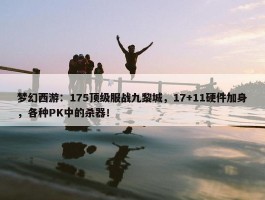 梦幻西游：175顶级服战九黎城，17+11硬件加身，各种PK中的杀器！