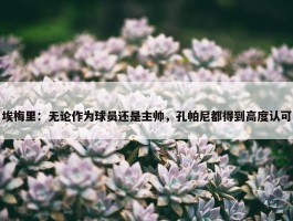 埃梅里：无论作为球员还是主帅，孔帕尼都得到高度认可