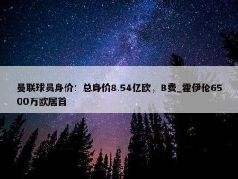 曼联球员身价：总身价8.54亿欧，B费_霍伊伦6500万欧居首