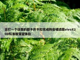 主打一个该做的都不折不扣完成韩伯啸透露vivoX200标准版潜望体验