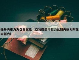 提升内驱力为自我赋能（自我提高内驱力认知内驱力附属内驱力）