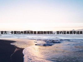 官方：卡莫拉内西执教塞浦路斯球队，签约至本赛季结束