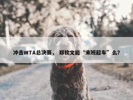 冲击WTA总决赛， 郑钦文能“末班超车”么？