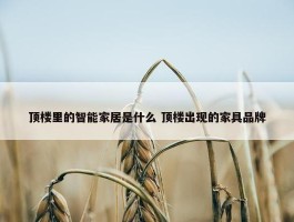 顶楼里的智能家居是什么 顶楼出现的家具品牌