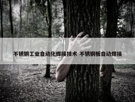 不锈钢工业自动化焊接技术 不锈钢板自动焊接