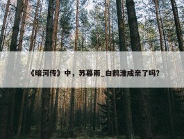 《暗河传》中，苏暮雨_白鹤淮成亲了吗？