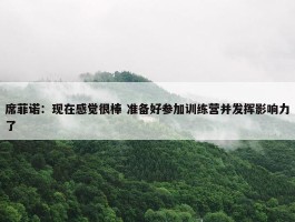 席菲诺：现在感觉很棒 准备好参加训练营并发挥影响力了