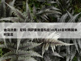 迪马济奥：尼科-冈萨雷斯目标在10月28日对阵国米时复出