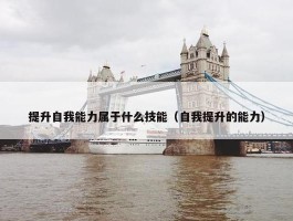 提升自我能力属于什么技能（自我提升的能力）