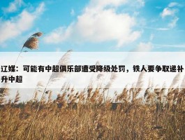 辽媒：可能有中超俱乐部遭受降级处罚，铁人要争取递补升中超