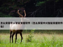 怎么安装中兴智能家居软件（怎么安装中兴智能家居软件包）