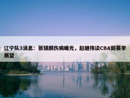 辽宁队3消息：张镇麟伤病曝光，赵继伟谈CBA新赛季展望