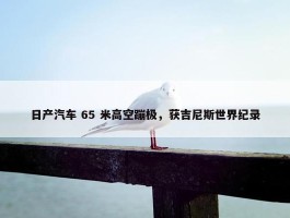 日产汽车 65 米高空蹦极，获吉尼斯世界纪录