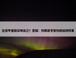 在意甲重新证明自己？意媒：热那亚考察热刺旧将阿里