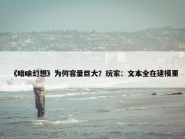 《暗喻幻想》为何容量巨大？玩家：文本全在建模里