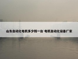 山东自动化电机多少钱一台 电机自动化设备厂家