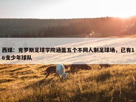 西媒：克罗斯足球学院涵盖五个不同人制足球场，已有16支少年球队