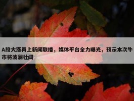 A股大涨再上新闻联播，媒体平台全力曝光，预示本次牛市将波澜壮阔