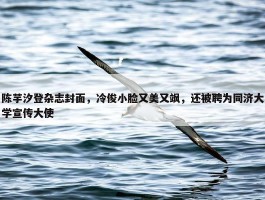 陈芋汐登杂志封面，冷俊小脸又美又飒，还被聘为同济大学宣传大使