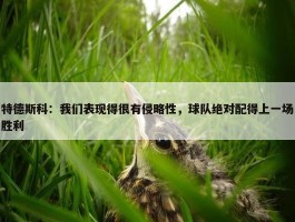 特德斯科：我们表现得很有侵略性，球队绝对配得上一场胜利