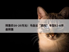 预售价16-20万元！马自达“卖标”车型EZ-6开启预售