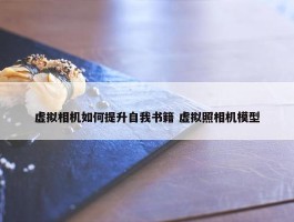 虚拟相机如何提升自我书籍 虚拟照相机模型