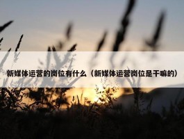 新媒体运营的岗位有什么（新媒体运营岗位是干嘛的）