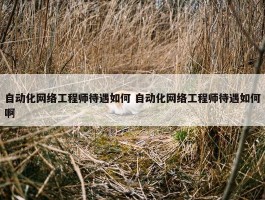 自动化网络工程师待遇如何 自动化网络工程师待遇如何啊