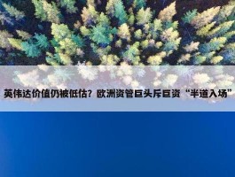 英伟达价值仍被低估？欧洲资管巨头斥巨资“半道入场”