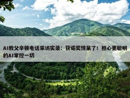 AI教父辛顿电话采访实录：获诺奖惊呆了！担心更聪明的AI掌控一切