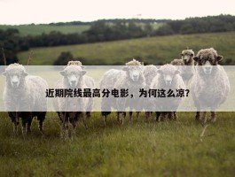 近期院线最高分电影，为何这么凉？