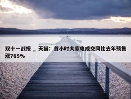 双十一战报 _ 天猫：首小时大家电成交同比去年预售涨765%