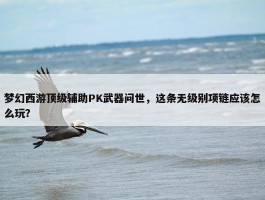 梦幻西游顶级辅助PK武器问世，这条无级别项链应该怎么玩？