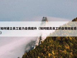 如何建立员工能力自我提升（如何提高员工的自我效能感）