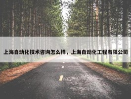 上海自动化技术咨询怎么样，上海自动化工程有限公司