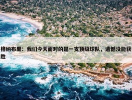 格纳布里：我们今天面对的是一支顶级球队，遗憾没能获胜