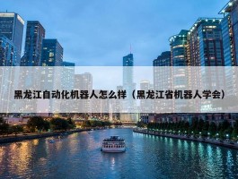 黑龙江自动化机器人怎么样（黑龙江省机器人学会）