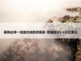 英伟达周一收盘价创历史新高 市值超过3.4万亿美元