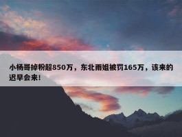 小杨哥掉粉超850万，东北雨姐被罚165万，该来的迟早会来！