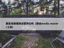 群邑有新媒体运营岗位吗（群邑media master工资）