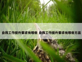 自我工作提升要求有哪些 自我工作提升要求有哪些方面