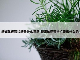 新媒体运营拉新是什么意思 新媒体运营推广是做什么的