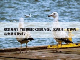 稳定发挥！TES横扫DK晋级八强，G2锐评：打许秀选奎桑提就对了