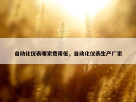 自动化仪表哪家费用低，自动化仪表生产厂家