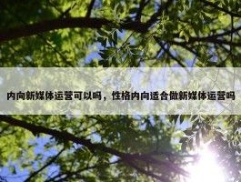 内向新媒体运营可以吗，性格内向适合做新媒体运营吗