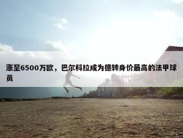 涨至6500万欧，巴尔科拉成为德转身价最高的法甲球员