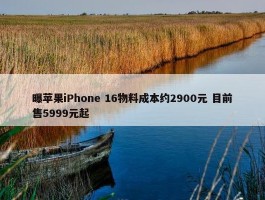 曝苹果iPhone 16物料成本约2900元 目前售5999元起