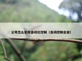 公司怎么实现自动化控制（自动控制企业）